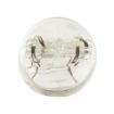 Picture of Lucas 580 Bulb 12v 21/5w W3x16q T20