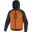 Picture of Delta Plus Moove Grey/Orange Small